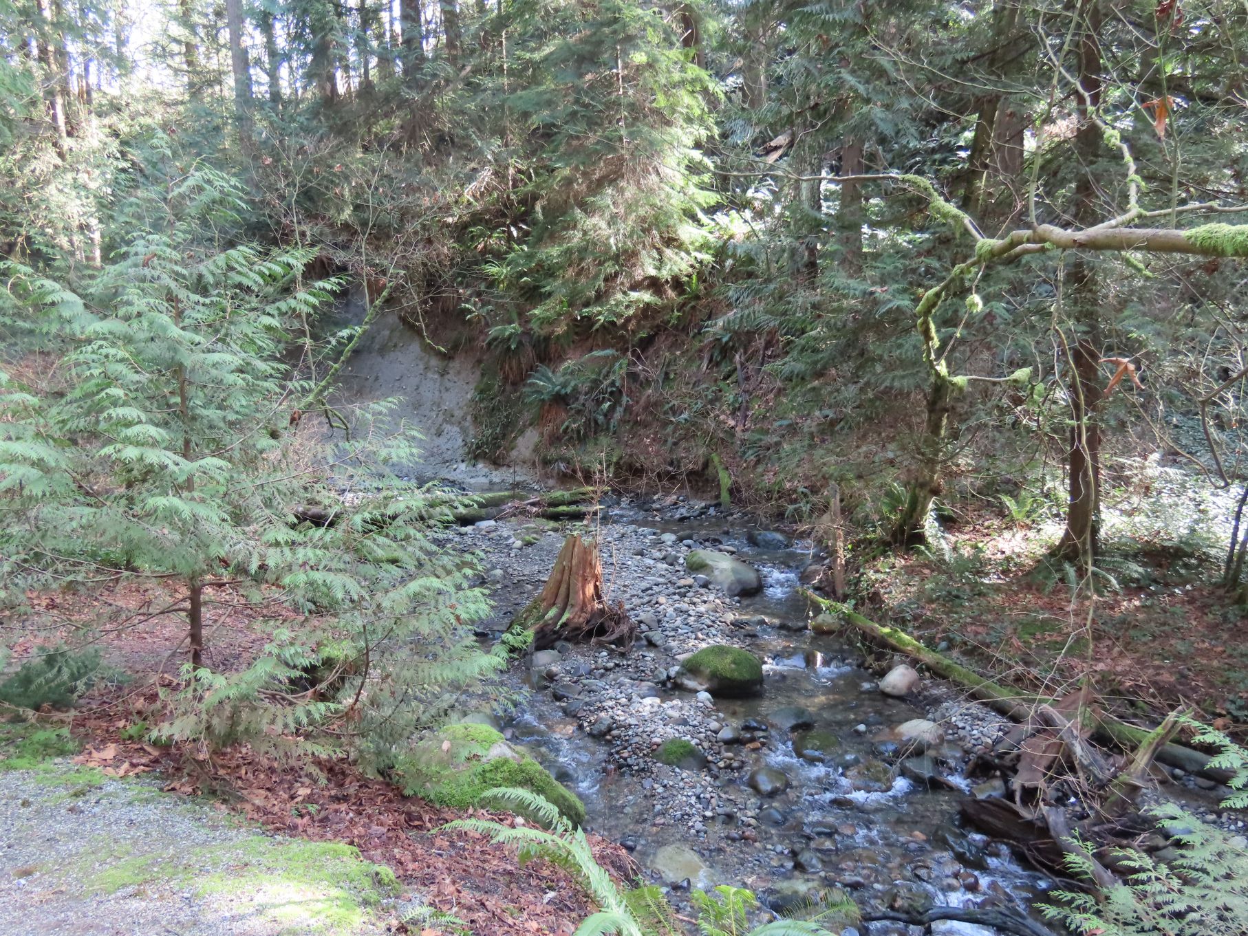 Byrne Creek, close up