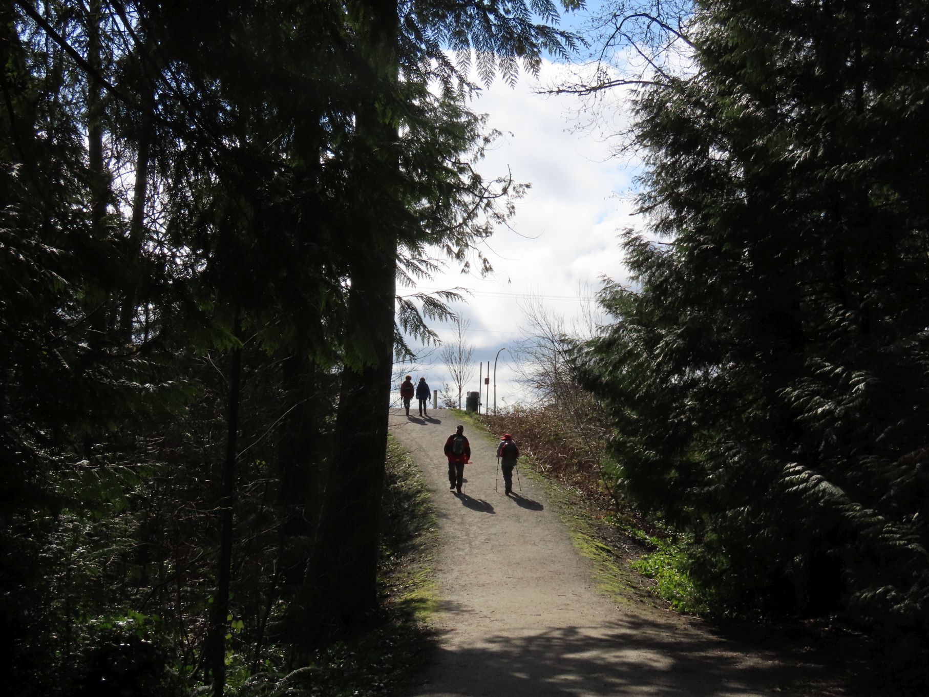 Emerging from the ravine