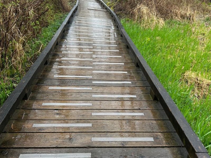 2025 April 6: Burnaby Lake&nbsp;Loop