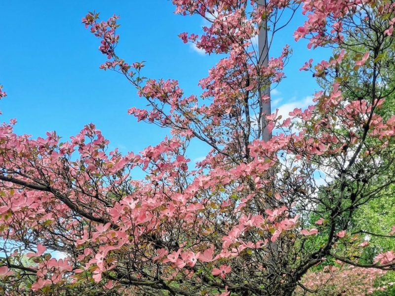 2025 May 4: Stoney Creek & Brunette River&nbsp;loop