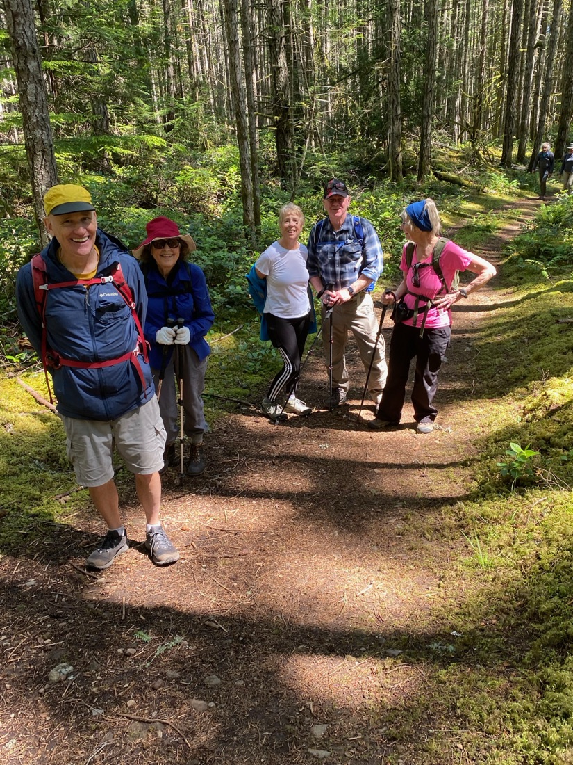 Pause on the ascent, I