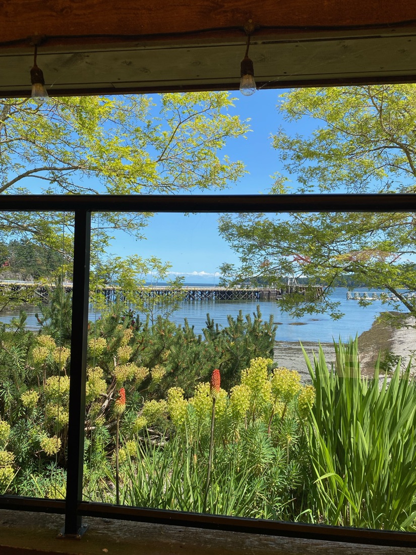 Looking out from the Pizza Patio