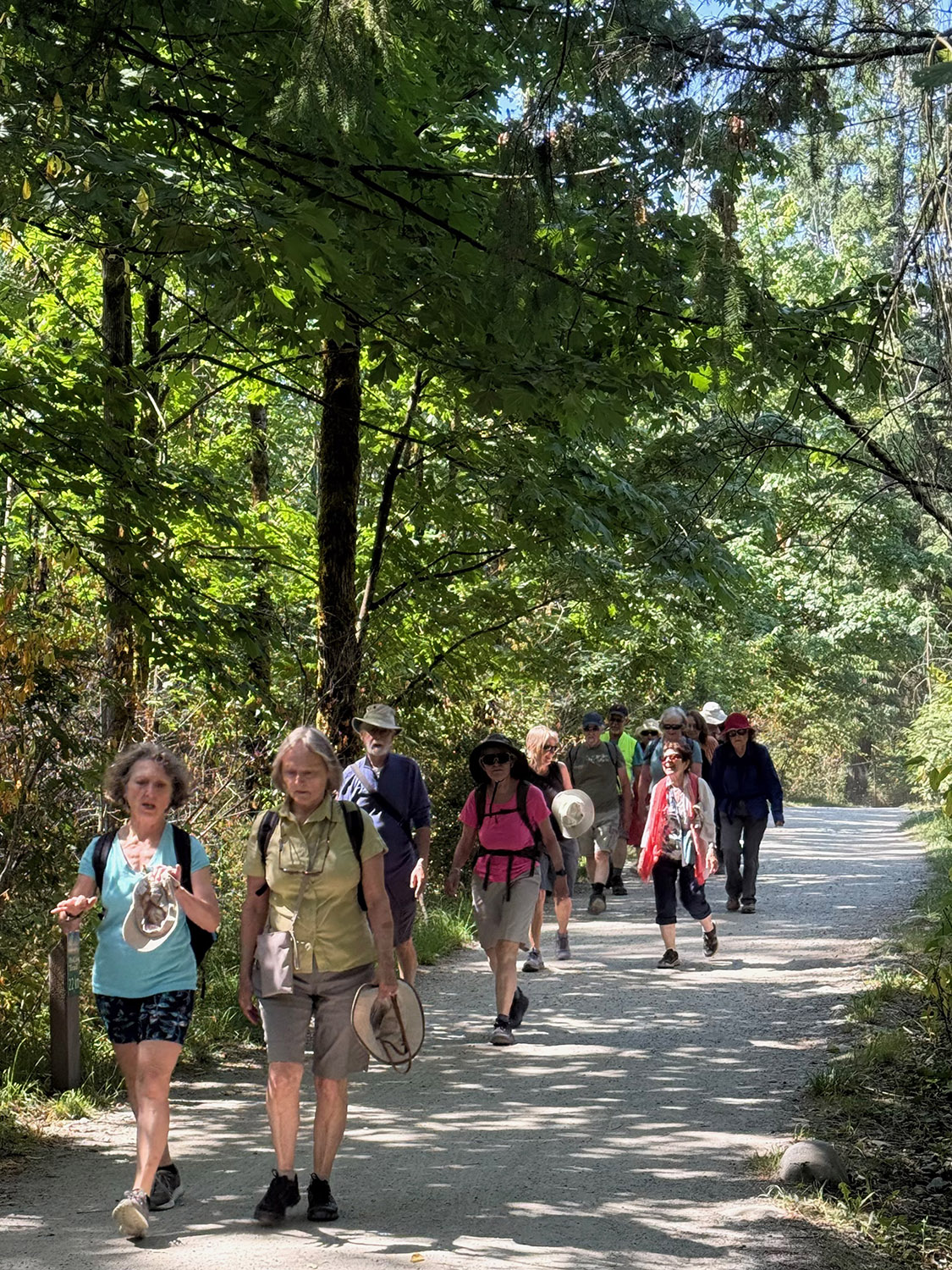 Under the shade of the trees