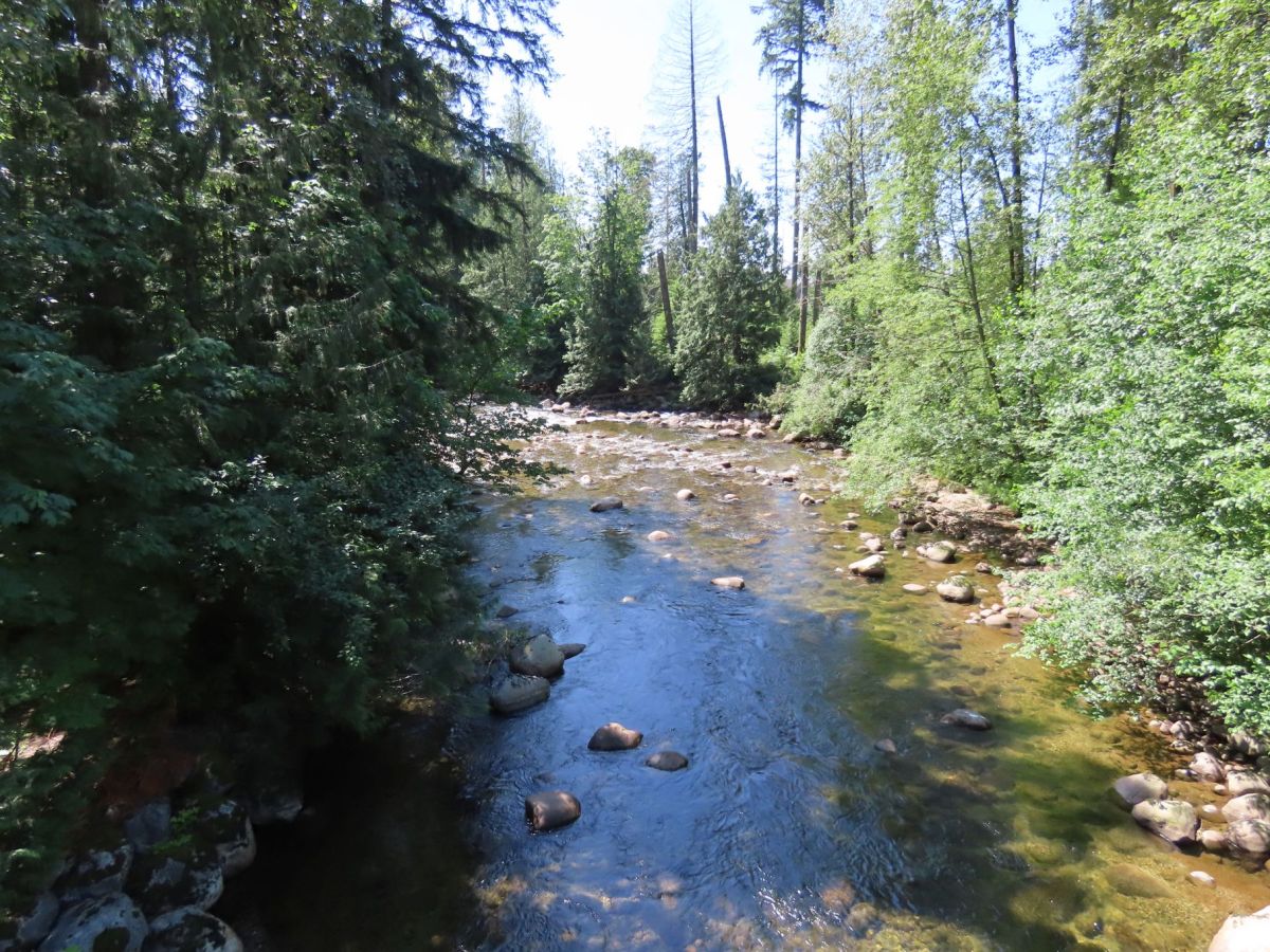 2025 July 6: Coquitlam&nbsp;River