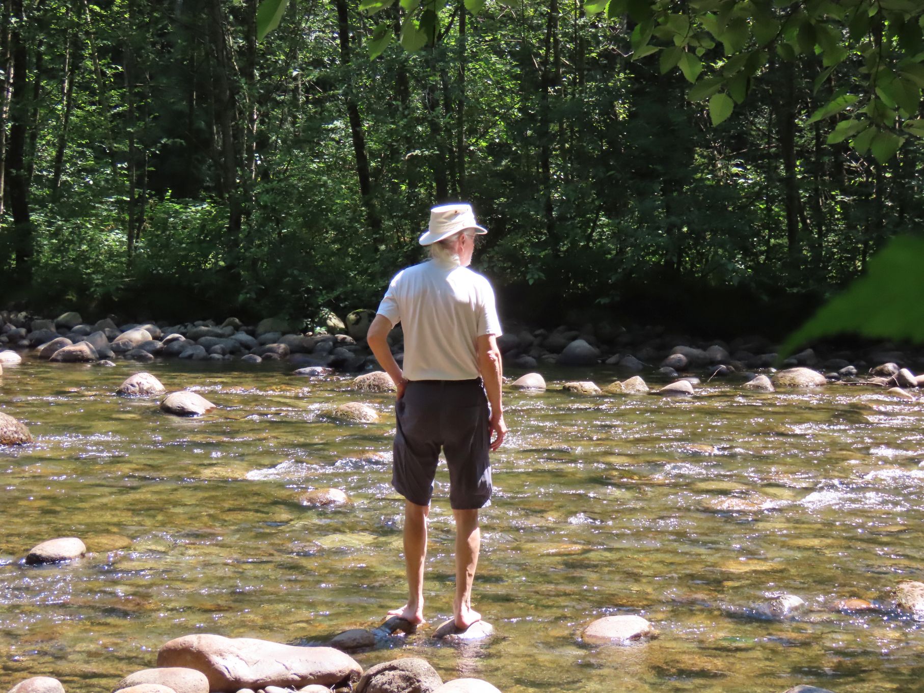 Michael tests the waters