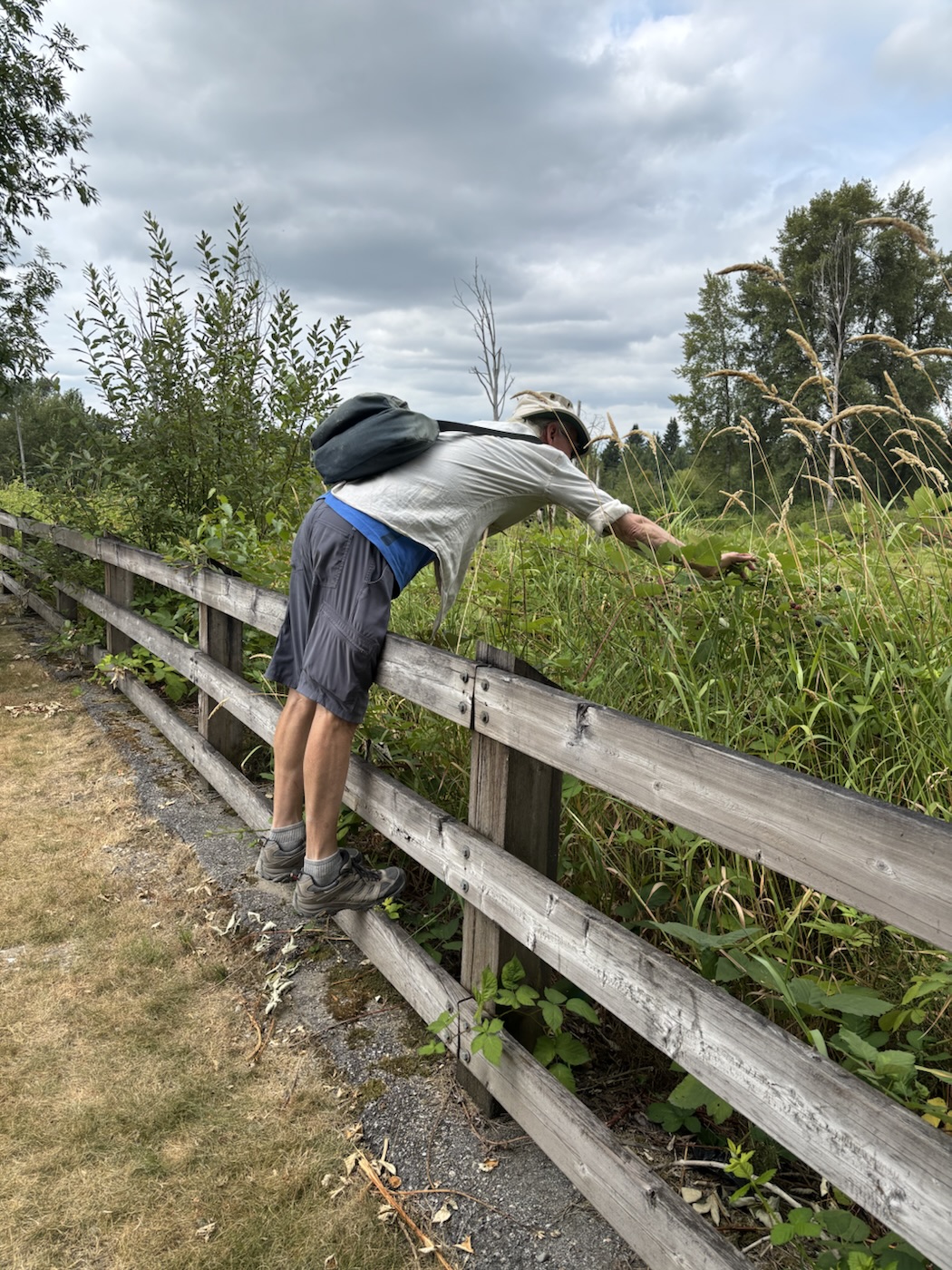 Michael, official blackberry picker