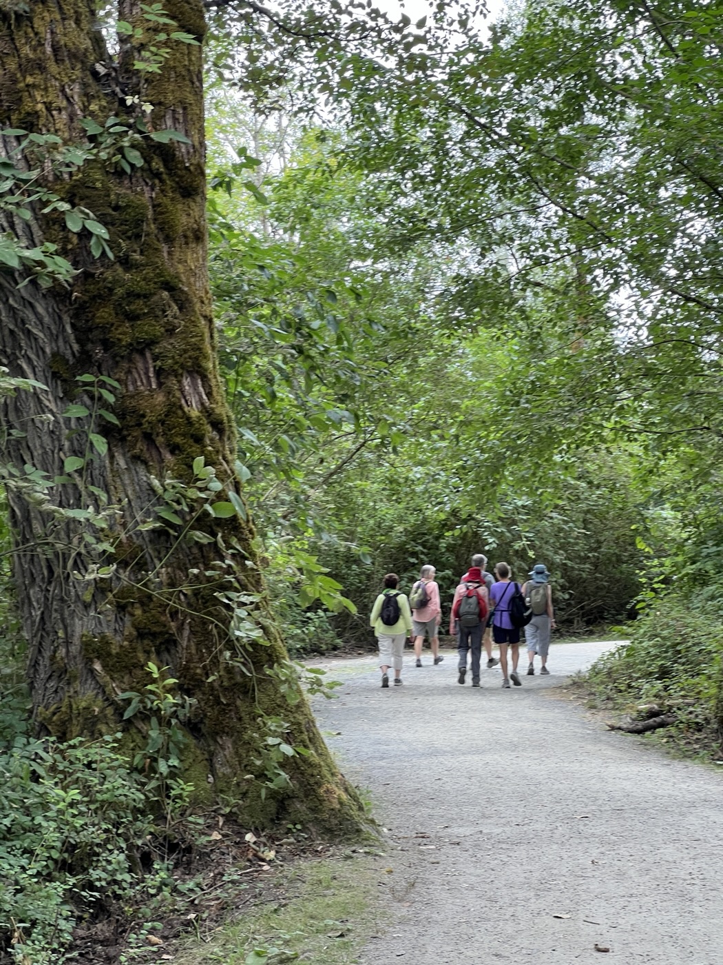 When you come to a fork in the road …