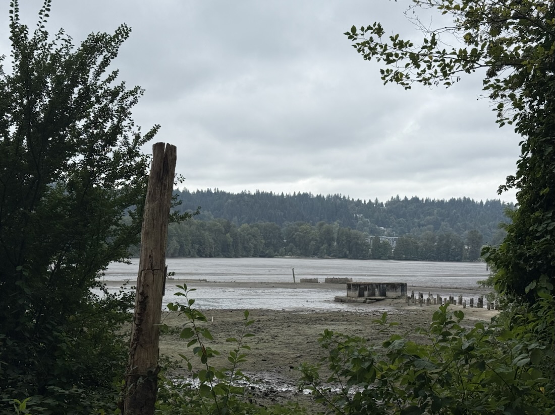 Water view II (Old Mill Park)