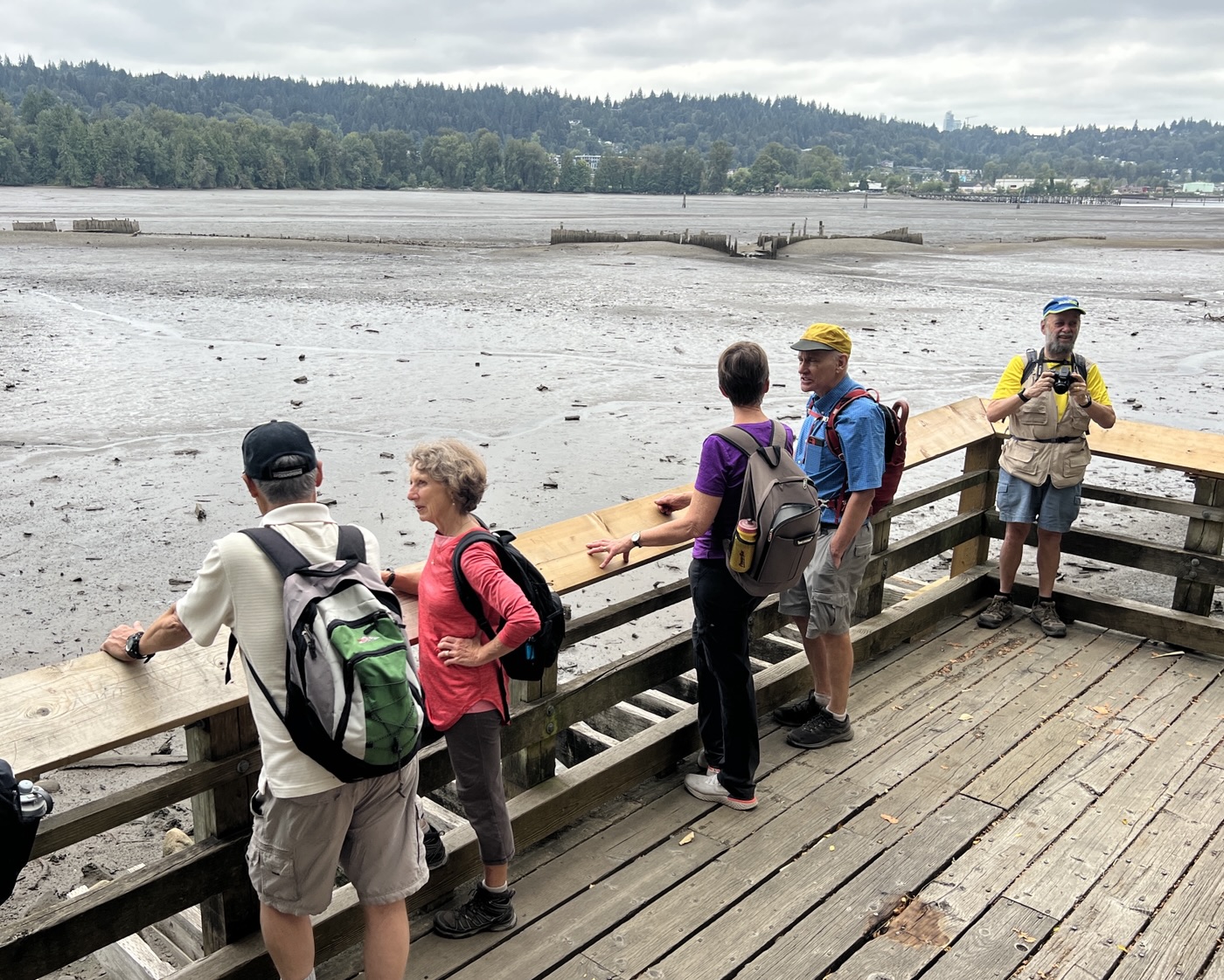 Mud viewing platform