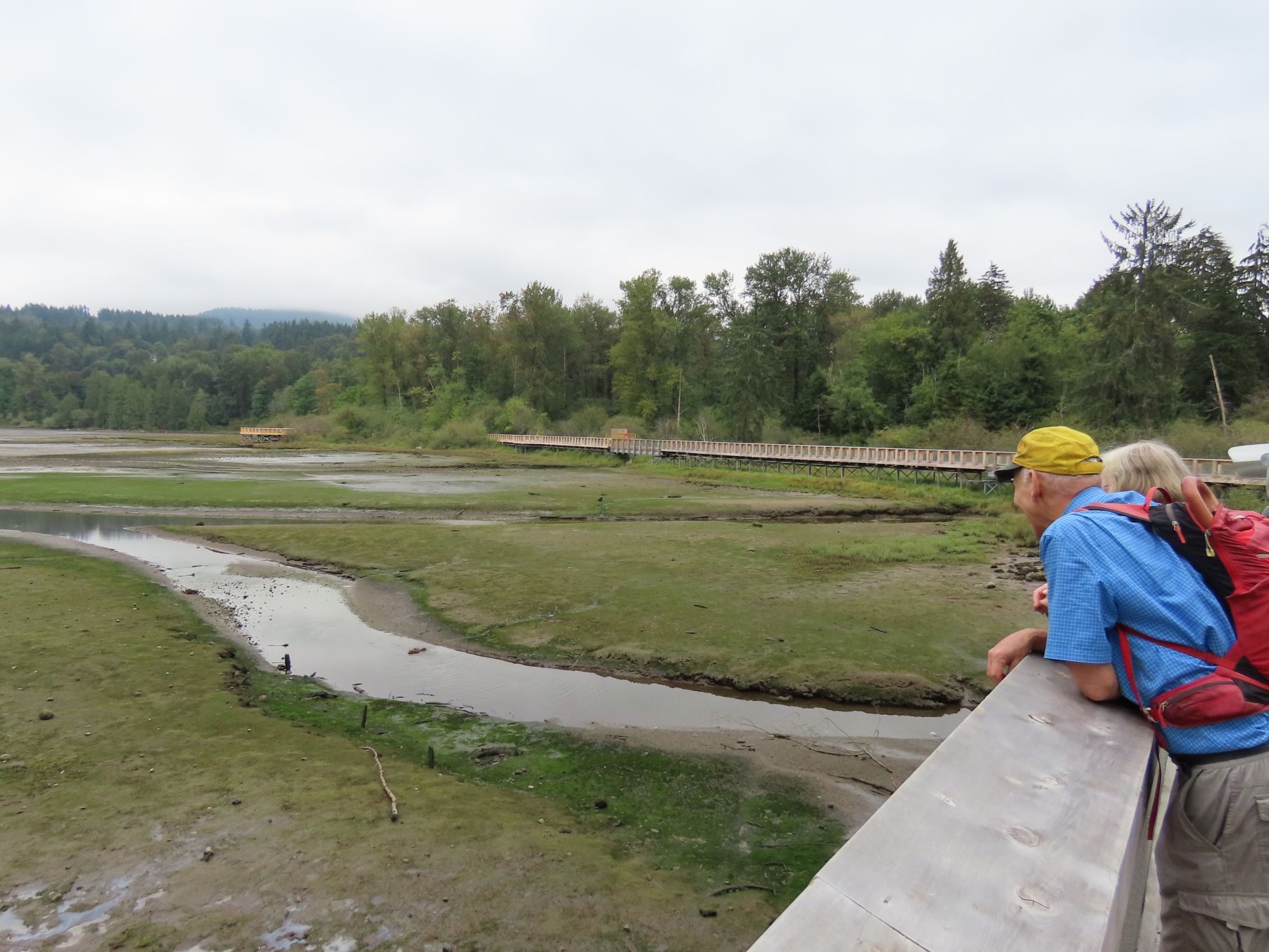 Viewing the new boardwalk