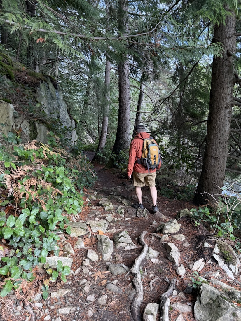 On the Killarney Creek Trail