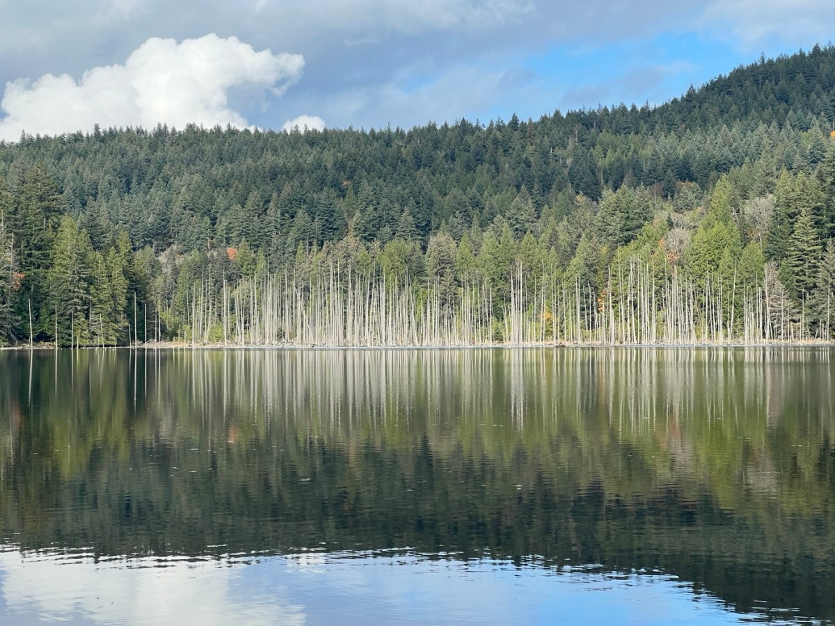 2025 November 2: Killarney Lake Loop, Bowen&nbsp;Island