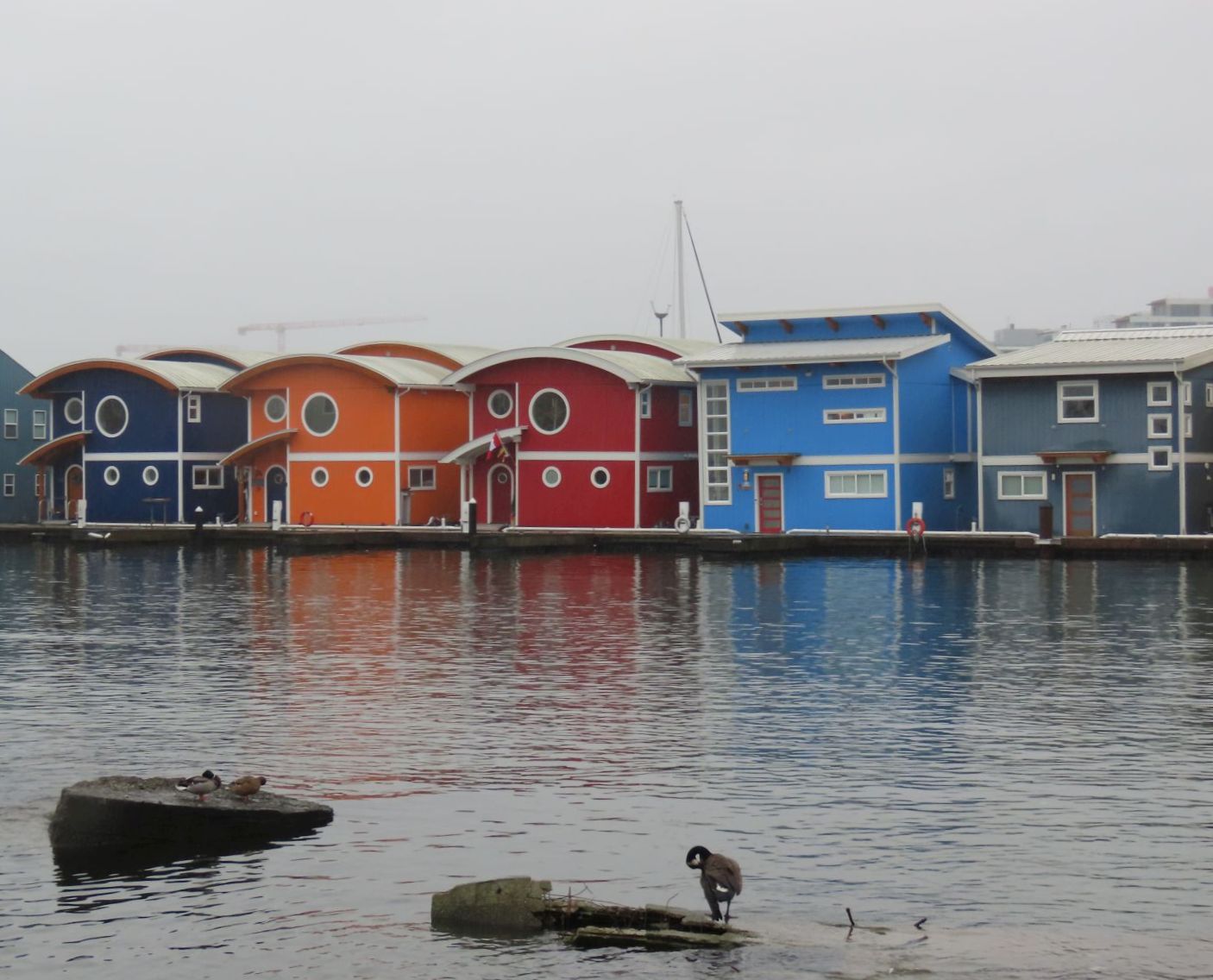 Float homes (and not a heron!)