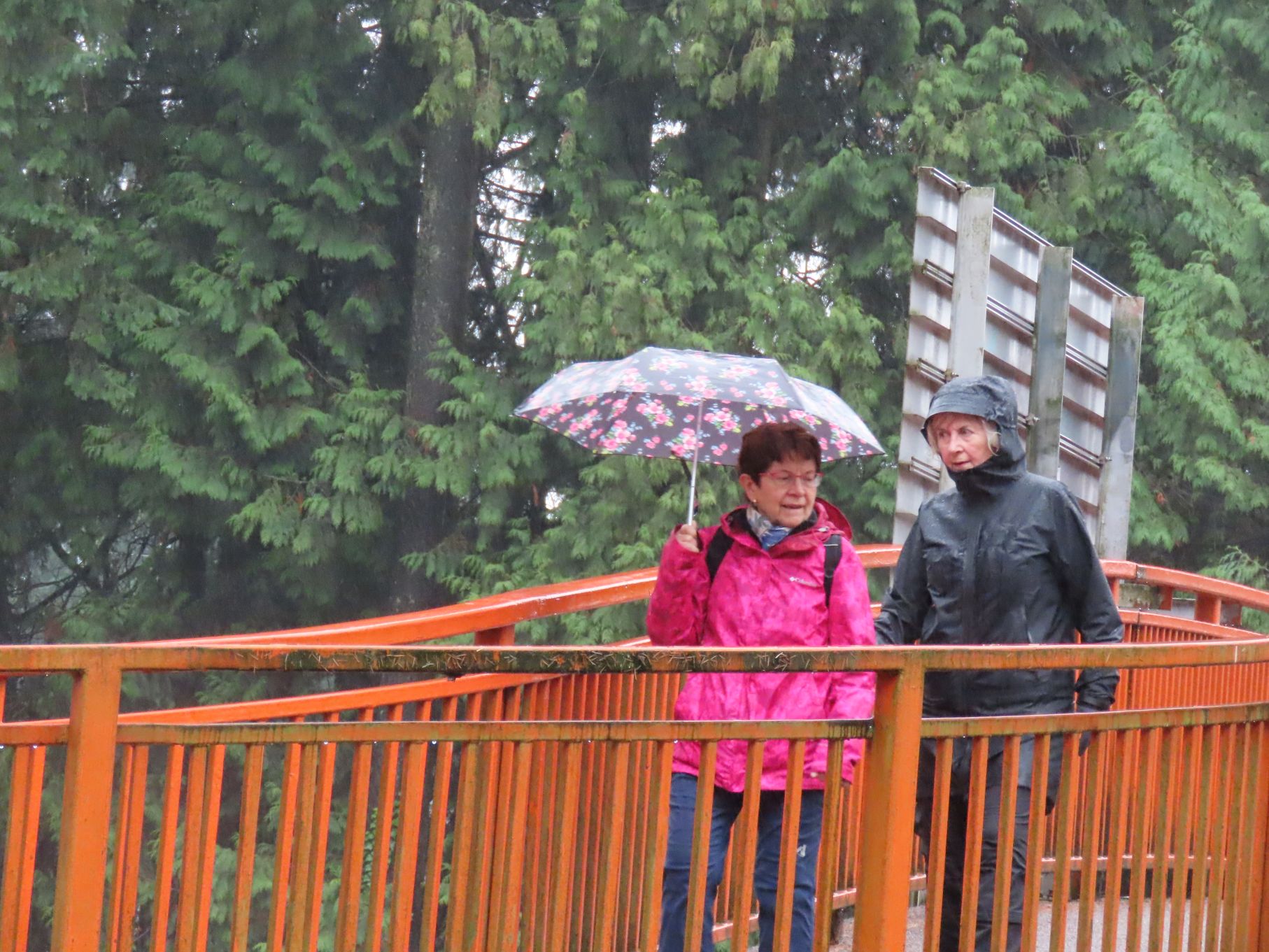 Liz and Angela crossing the highway