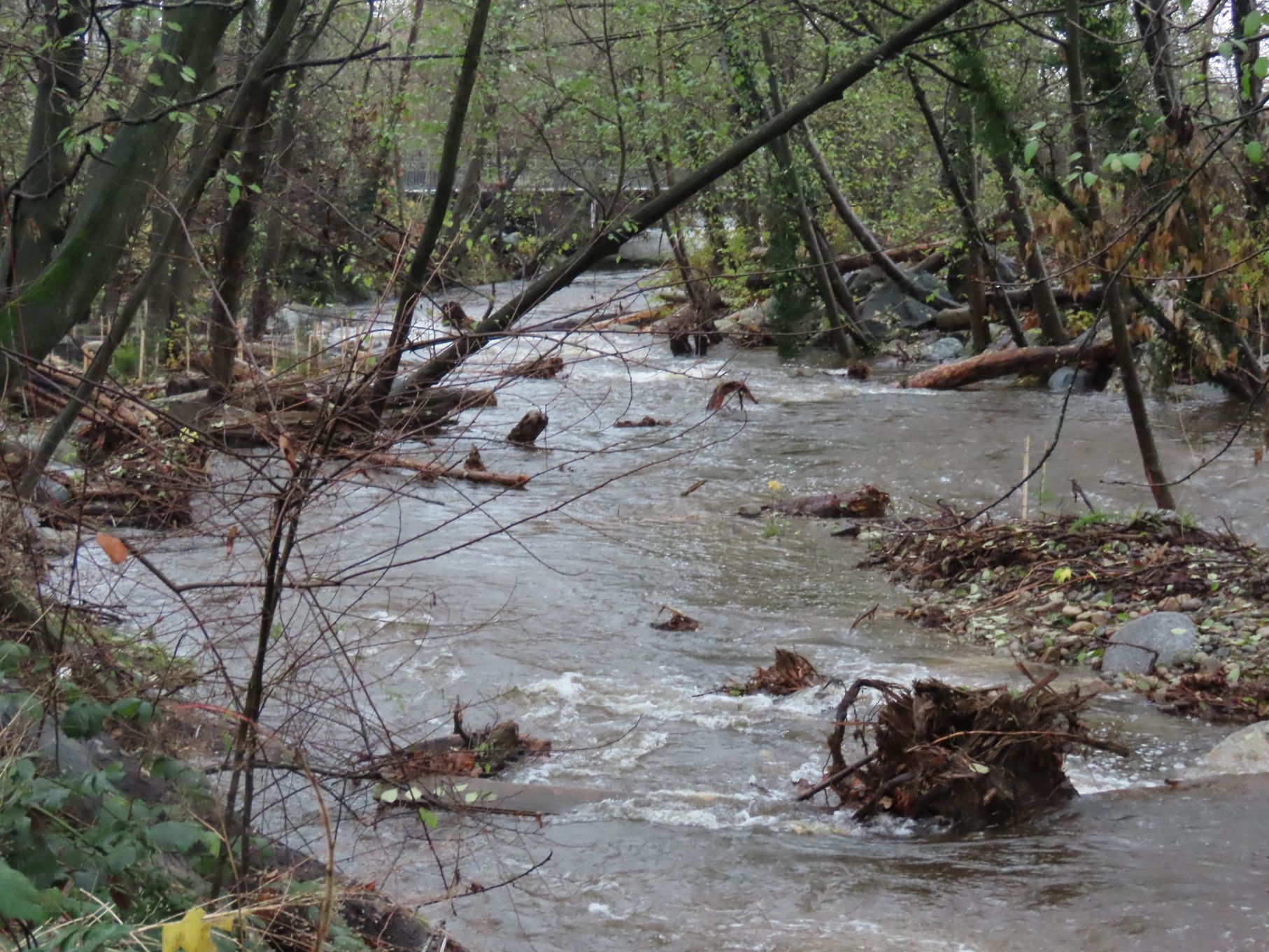 Lower Mosquito Creek