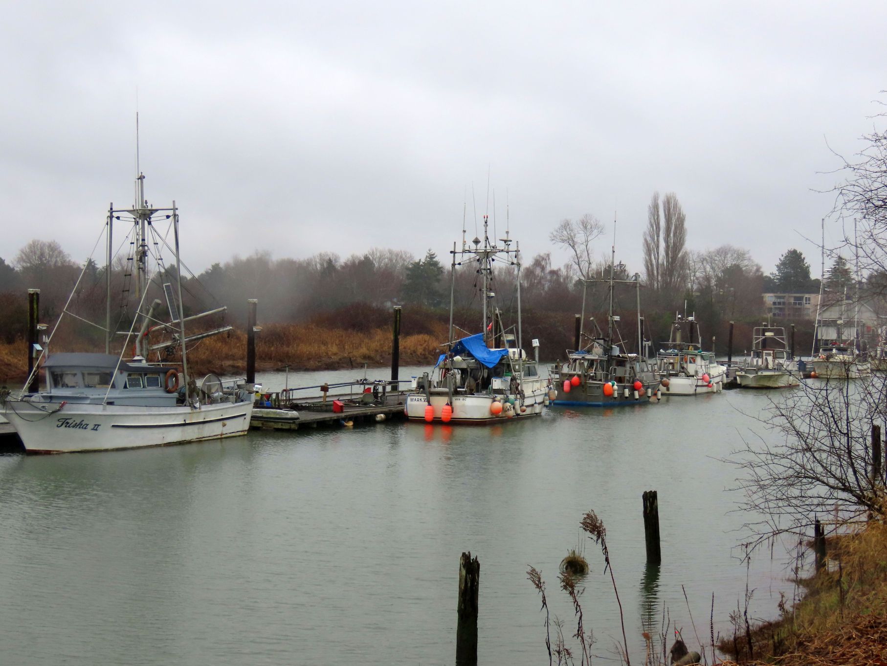 Fishing fleet