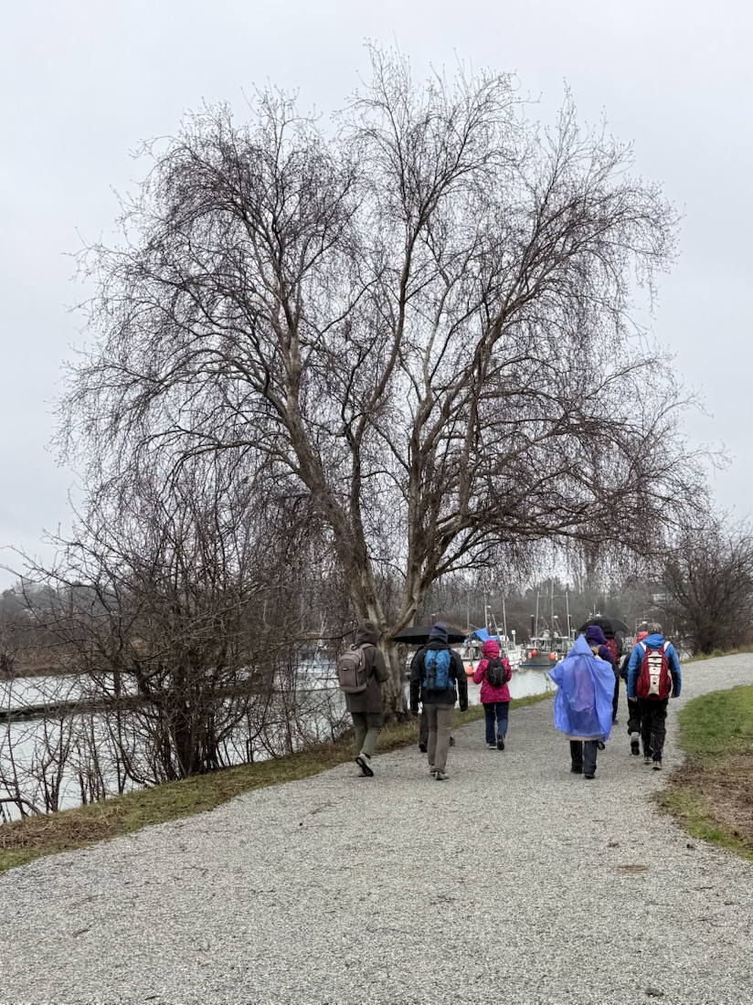 Under the winter trees
