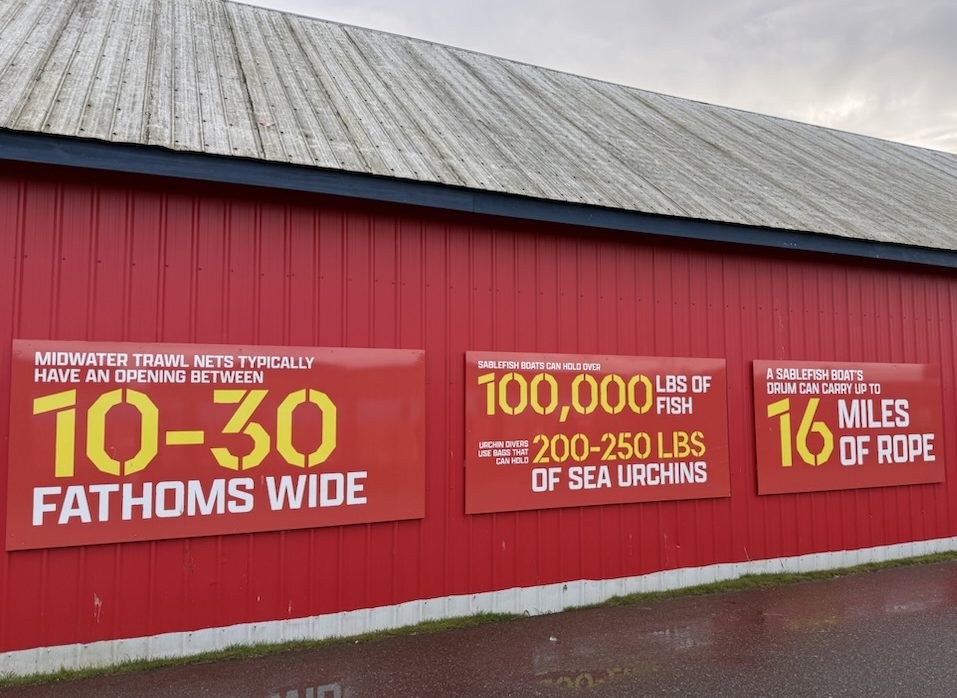 Steveston Statistics 1