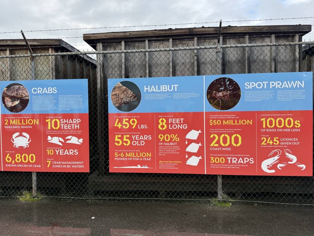 Steveston Statistics 2