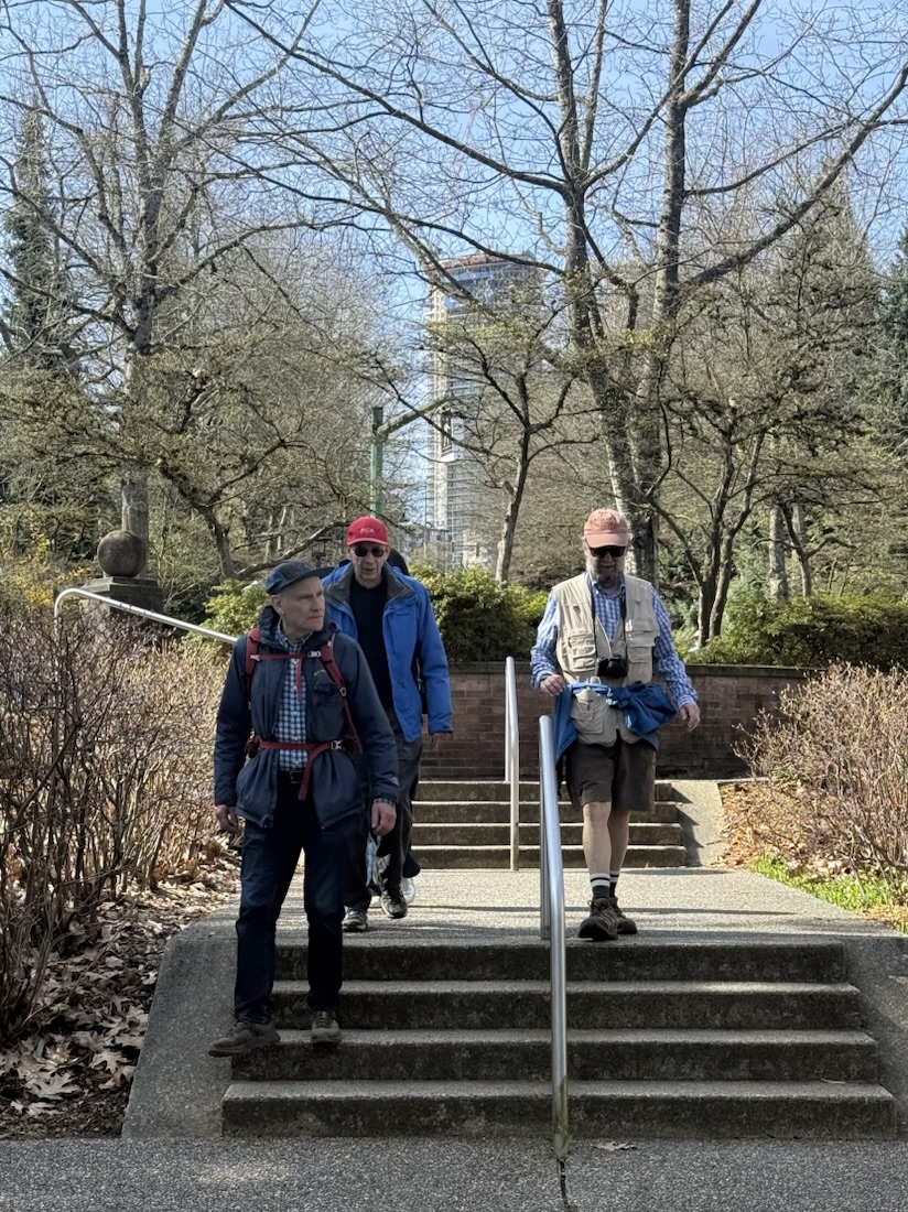 Descending the steps