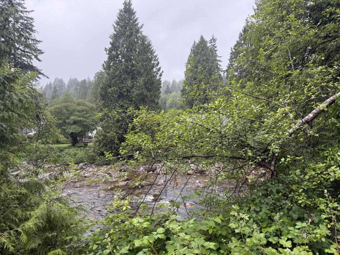 Seymour River