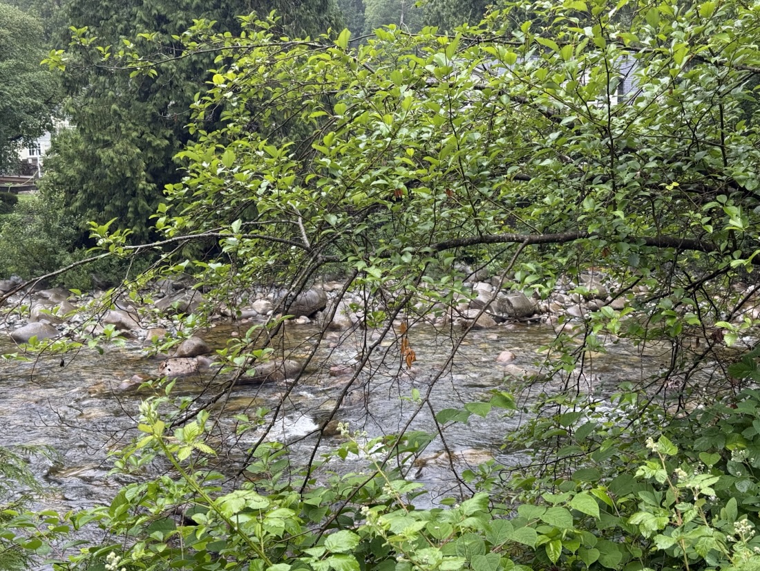 Seymour River