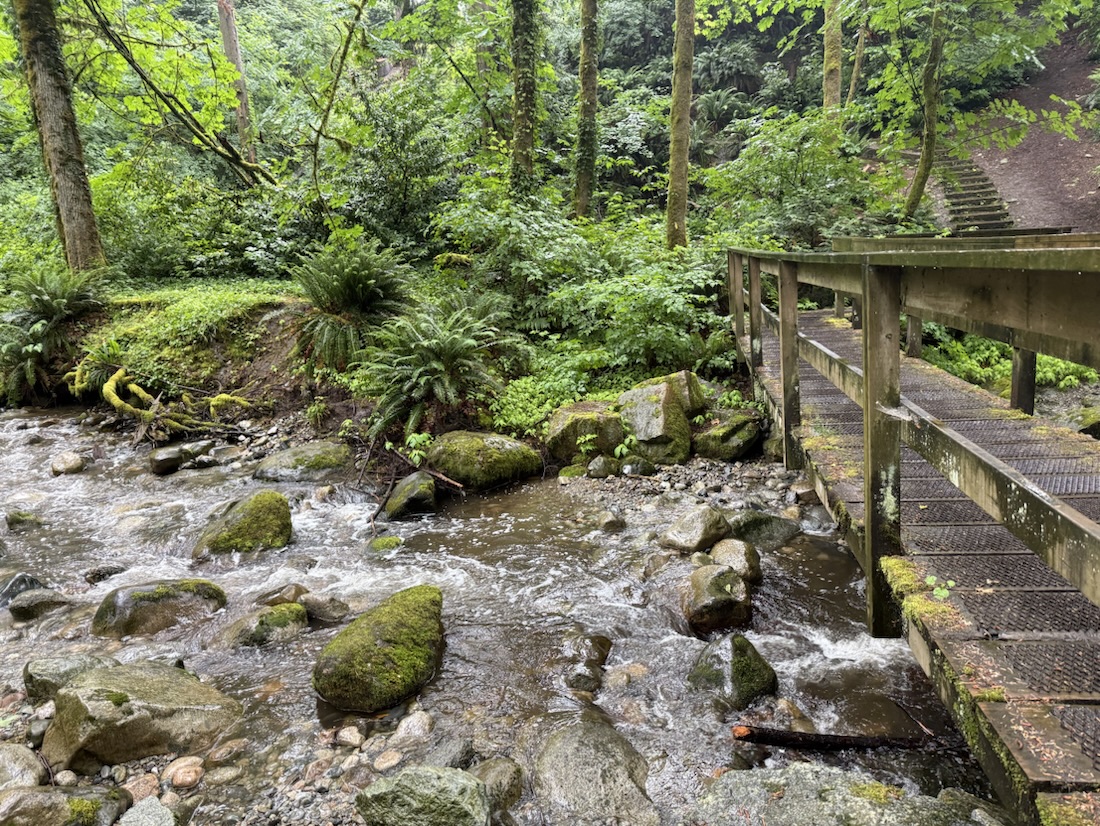 Windridge Park creek crossing