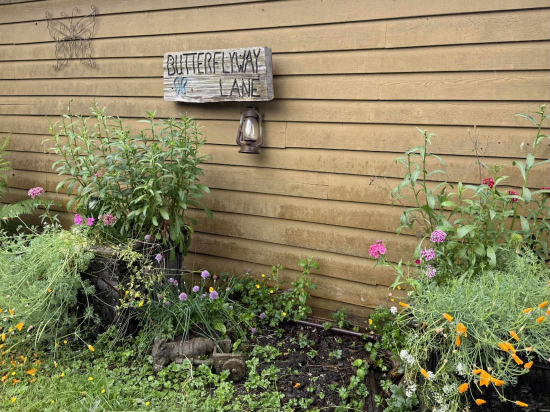 Butterflyway Lane