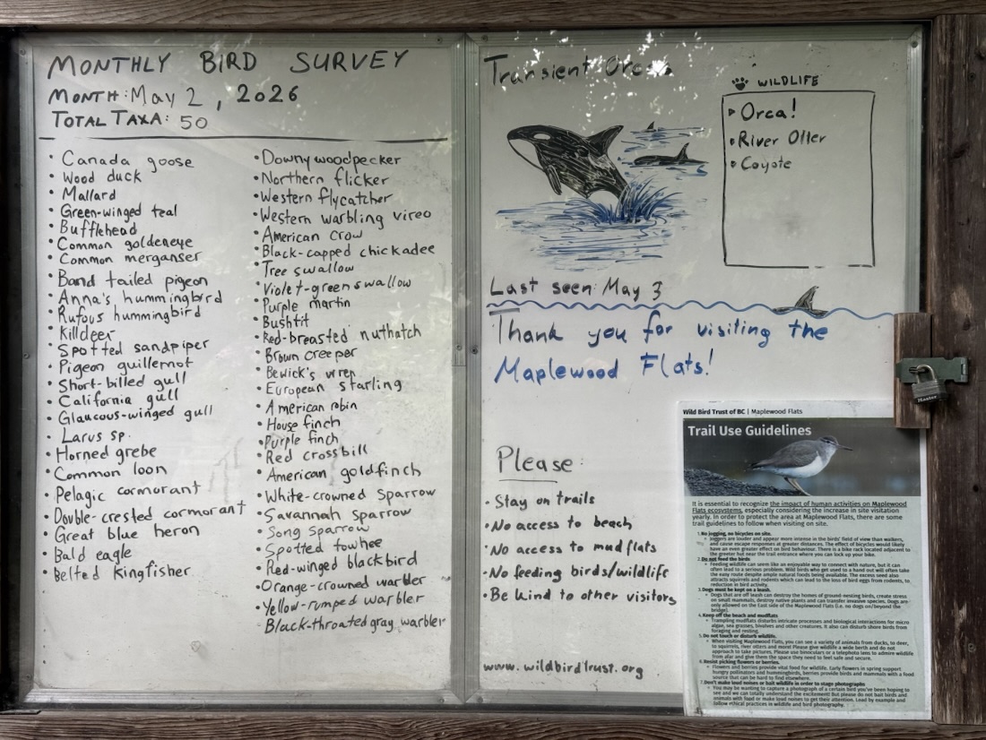 Bird count