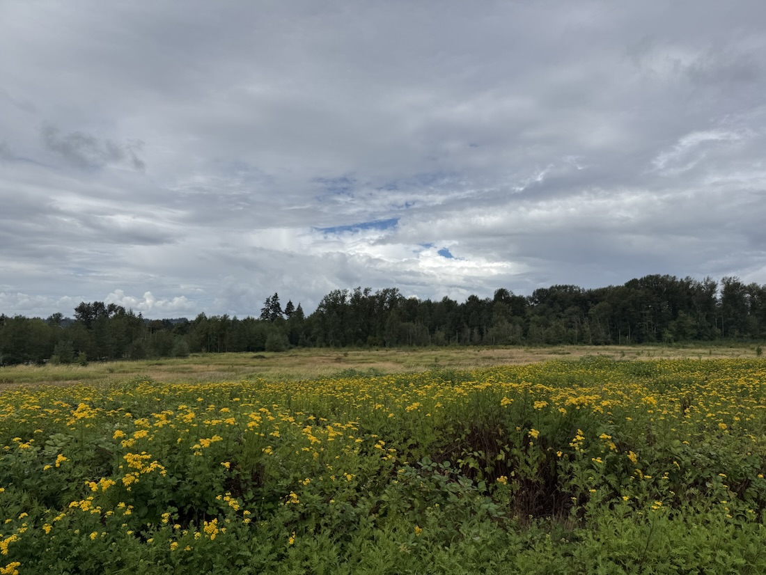 A far-off hint of blue sky