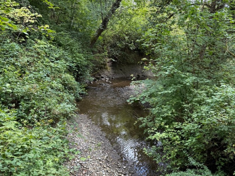 2020 August 2: Up one creek (MacKay) and down the other&nbsp;(Mosquito)