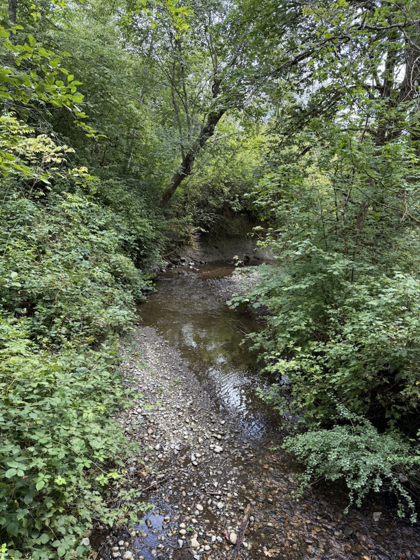 Creek