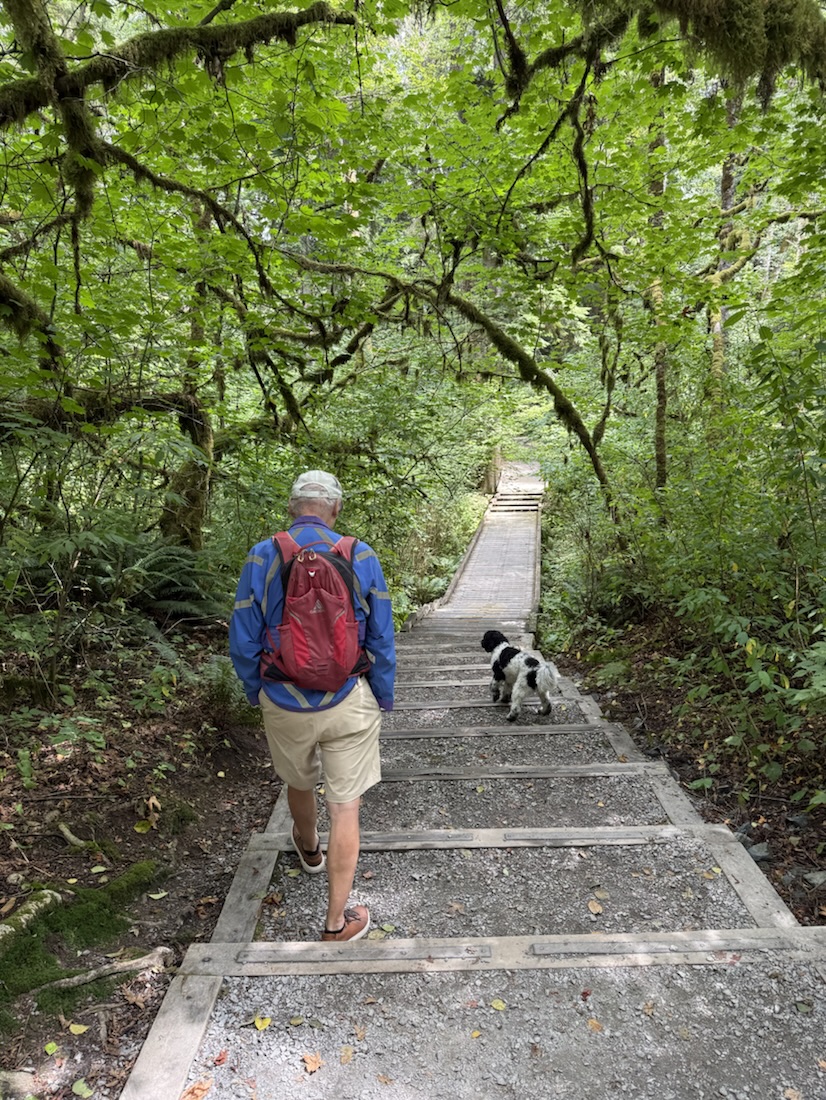 Finn and Gordon lead the way