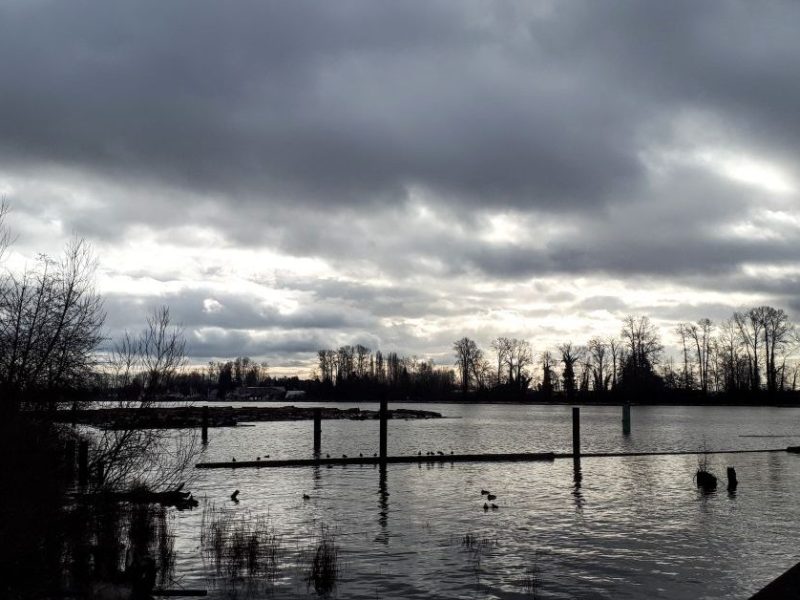 2020 February 2: Fraserview&nbsp;Trails