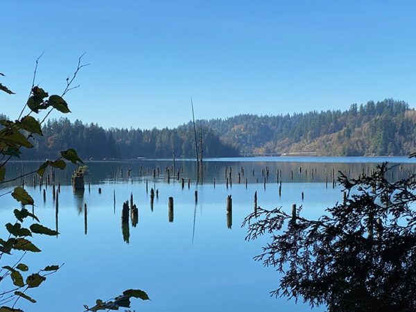 2020 November 1: Hayward Lake Reservoir&nbsp;Trail