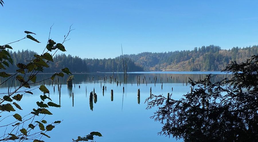 Lake