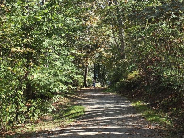 2020 October 4: Brohm Lake Interpretive&nbsp;Forest