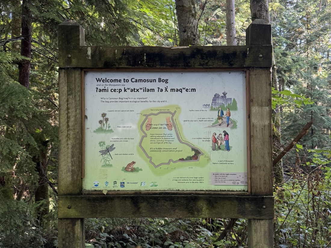 Bog welcome sign