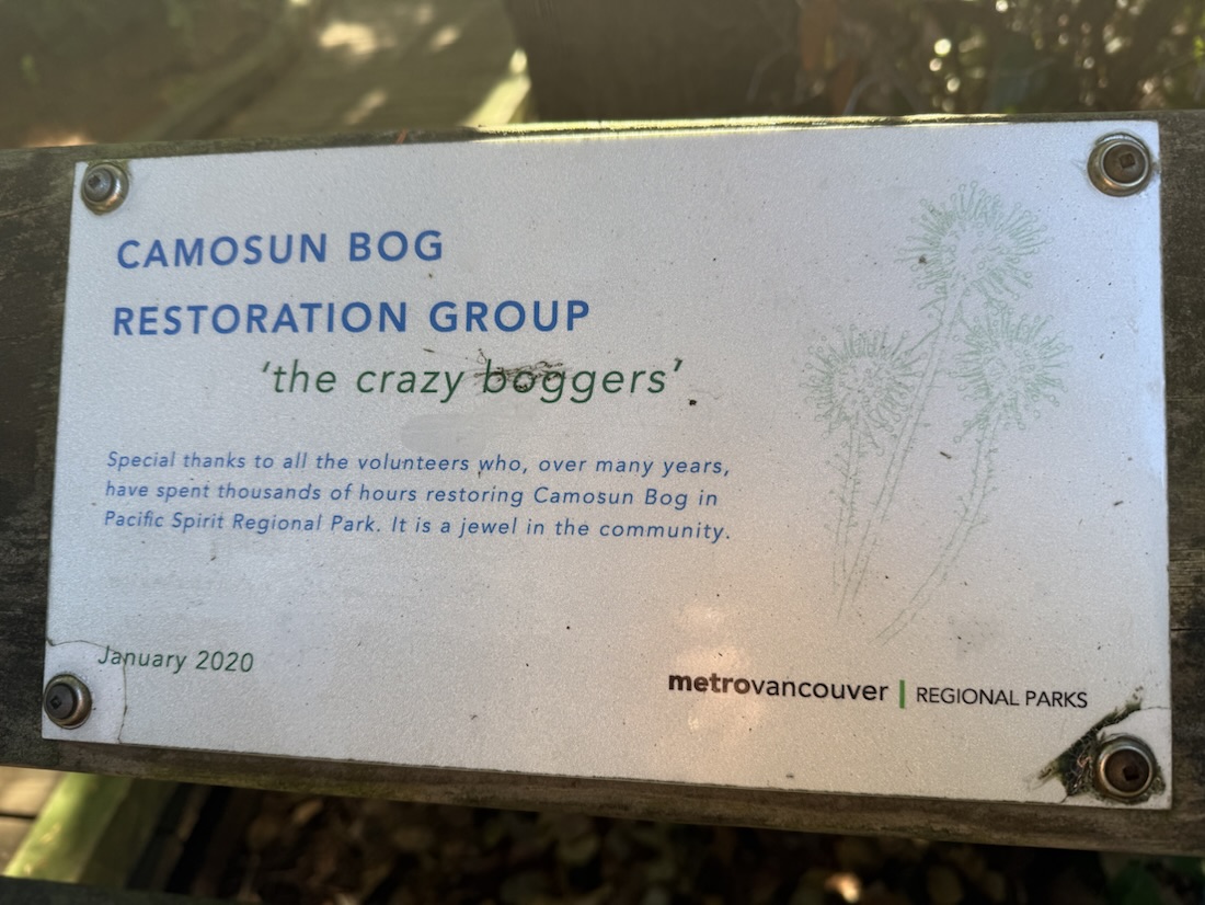 The crazy boggers