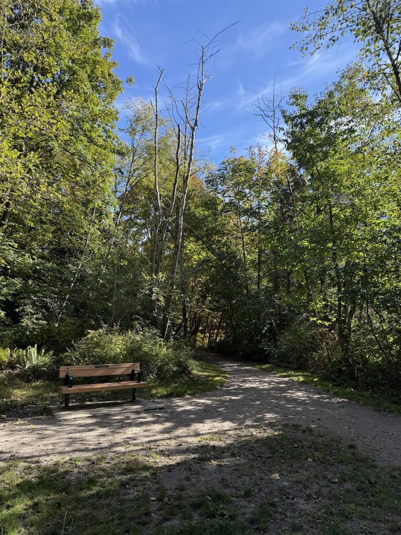 A new bench?