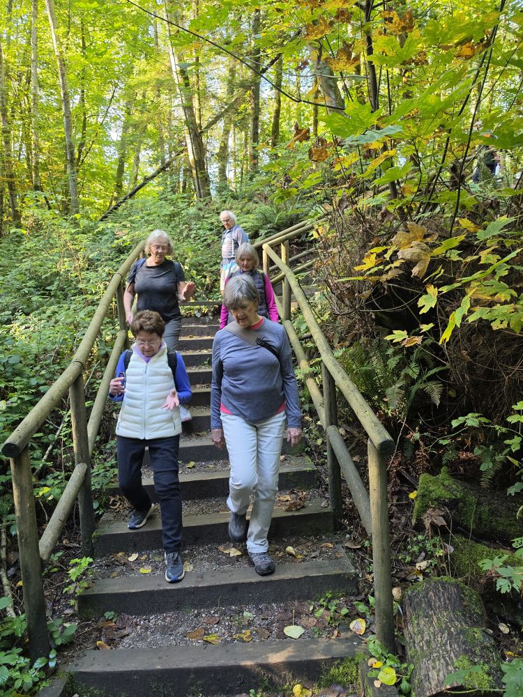 Descending to Camosun Bog